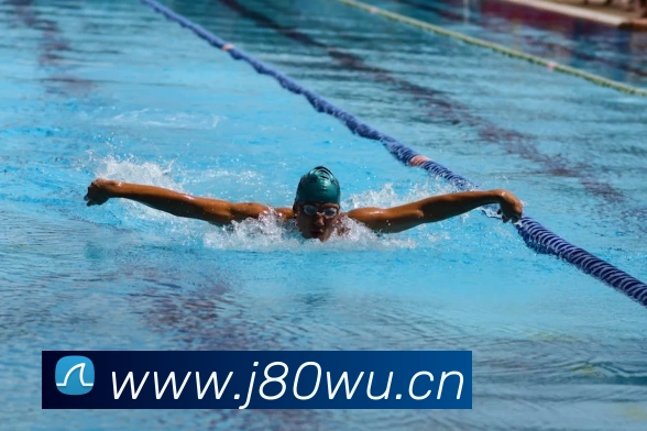 易倍emc官网怎么样平台生态图